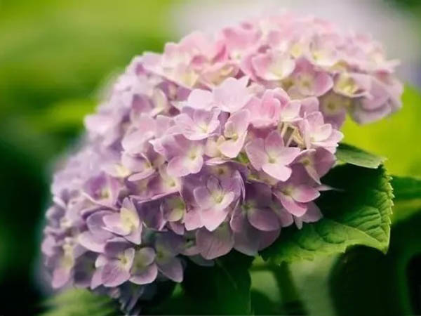 防盜知識(shí)