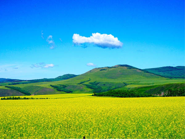 重慶市經(jīng)貿(mào)中等專業(yè)學(xué)校學(xué)生學(xué)業(yè)成績(jī)考核辦法（試行）